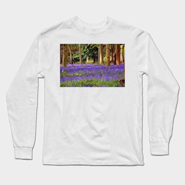 Bluebells Bluebell Woods Basildon Park Berkshire Long Sleeve T-Shirt by AndyEvansPhotos